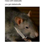 - Avocado Team -