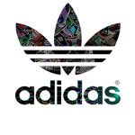 Anything Adidas
