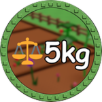 5kg Fruit!