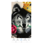Wolf_Palacio