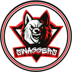 The Swagger Fan Group