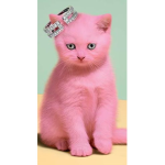 de pinke katte