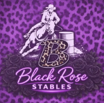 BR clothing and more