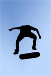 cool robloxains