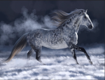 [Horses And Zang]