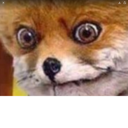 e chat