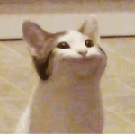 Pop Cat Faction