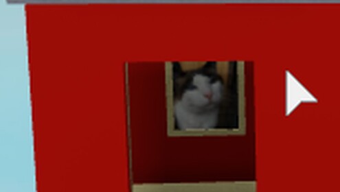 Cat Image Furniture