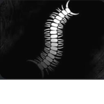 The Worm 蠕虫