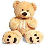 The teddy bear vibe place!!!