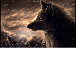xXGraced_Wolvezz Group