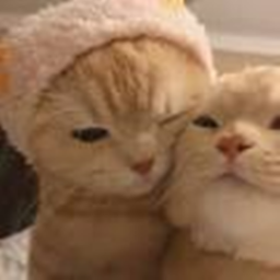 ☆