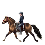 Helene’s horsey group