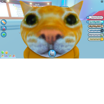 Cats are cool and cute