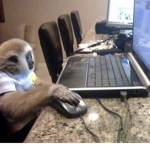 Willthecoolbo