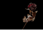 DɆAtHH