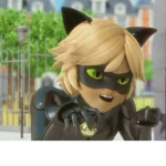 Miraculous Ladybug Fanz