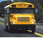 School Bus Team