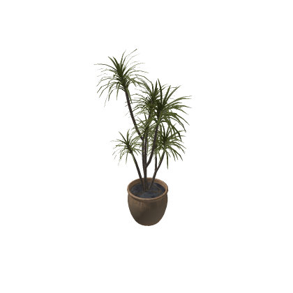 SolariumPottedPlant_F