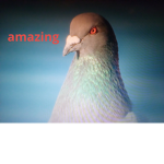 Birdo Gang