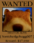 Sonichedgehogg007
