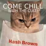The Chill Cults