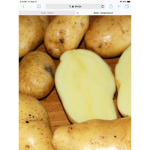 Potato squad121