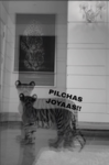 Pilchas Joyaas!!