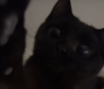 ! <3 !