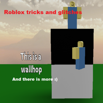 Roblox Tips and Glitches 