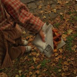 ⊹ ｡˚🍂 ˚｡⊹