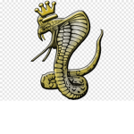 Hidden Cobra