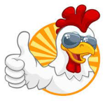 Epic Chicken Squad!