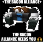 +Bacon Alliance+