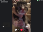 Mx._FloofyCutieGaming Fan club