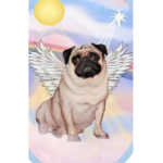 AngelXpugs