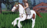 Maple springs lessons