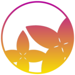 Dream Starlight Studio