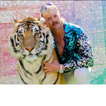 Tigerking4life