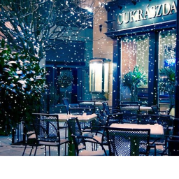 Pink Berries® WINTER EDITION UPDATE!