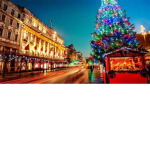 Chrismas Year!