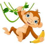 Monkey X