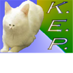 K.E.P. Kats of Epic Proportion