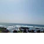 korea연세대학교