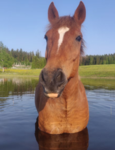 Da.bist.grup:sunglasses_emoji::sunglasses_emoji: