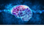 B.R.A.I.N.Z