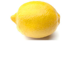 Food group fans
