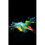 Basketball Rain stars