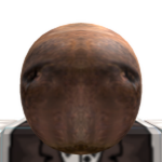 Vucilys