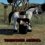 City Of Tombstone Arizona